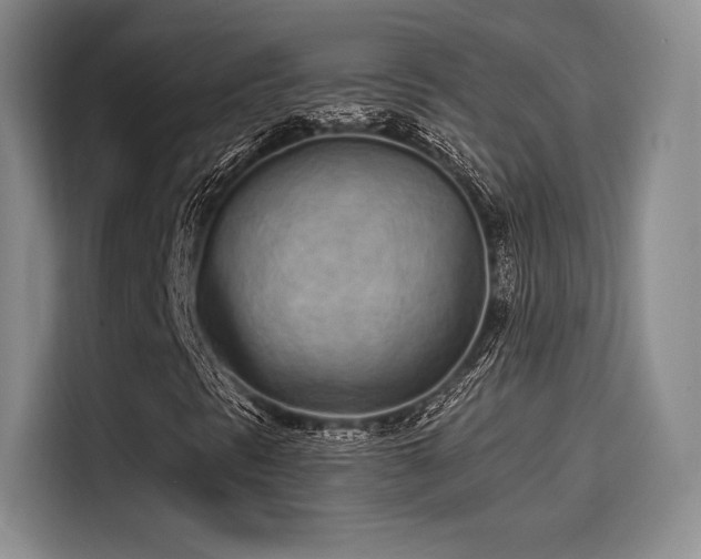 X0000114201297200910161216