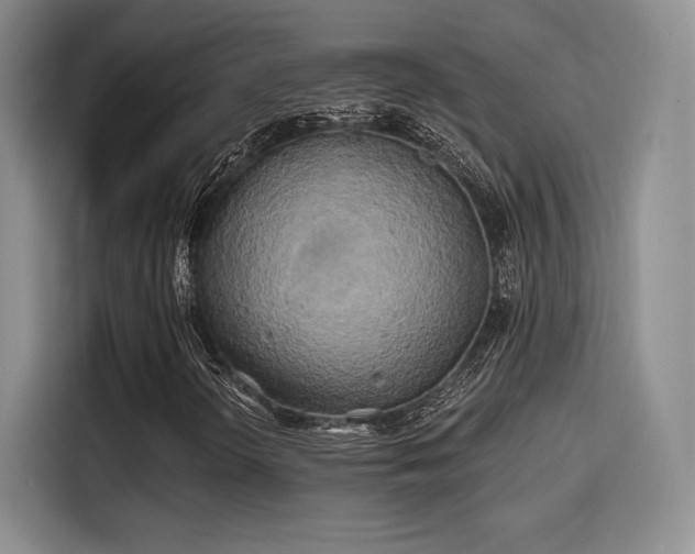 X0000114201298200910161216