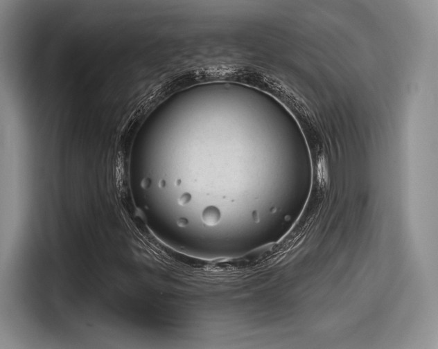 X0000114201299200910161217