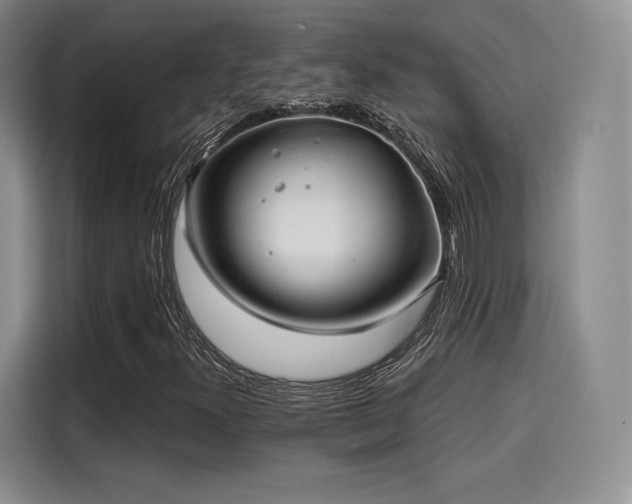 X0000114201300200910161217