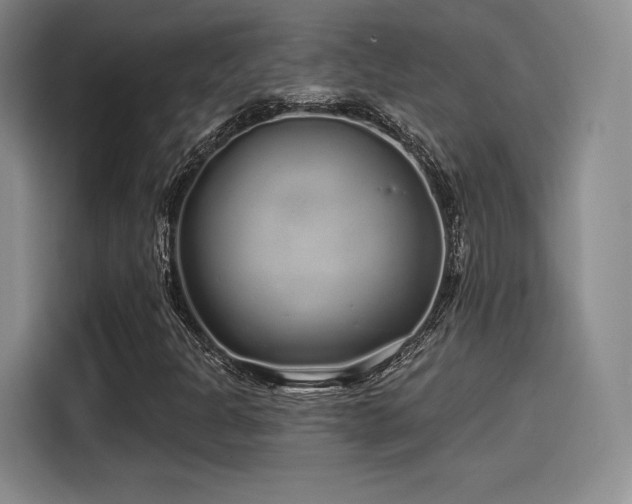 X0000114201301200910161217