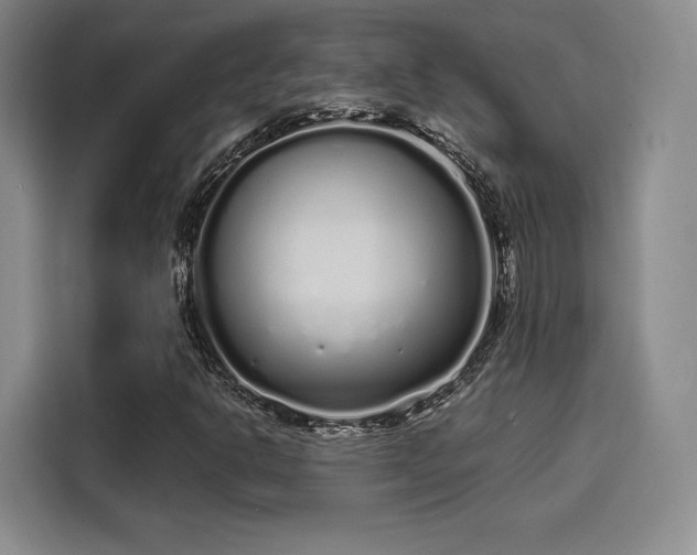 X0000114201302200910161217