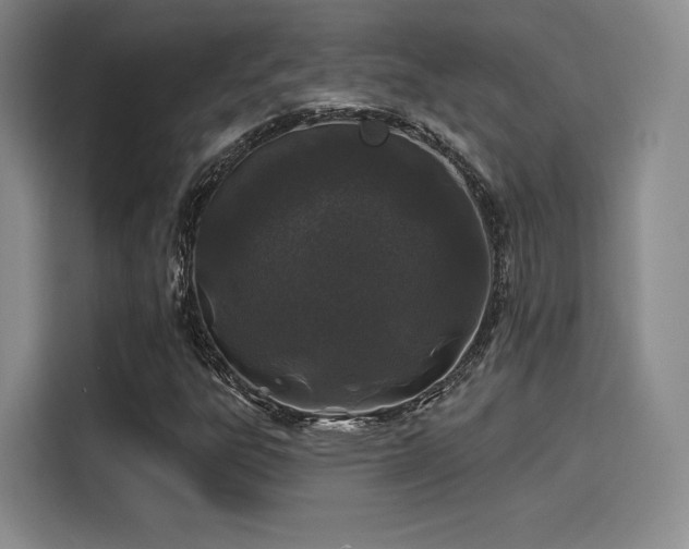 X0000114201303200910161217