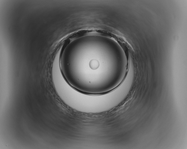 X0000114201304200910161217