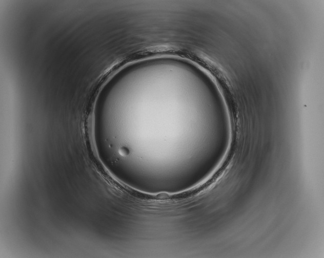 X0000114201305200910161217