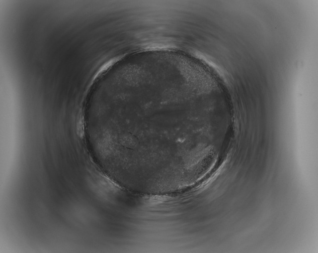 X0000114201306200910161217