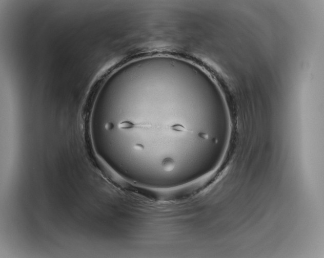 X0000114201309200910161217