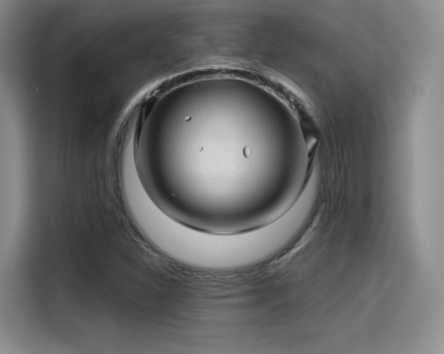 X0000114201310200910161217