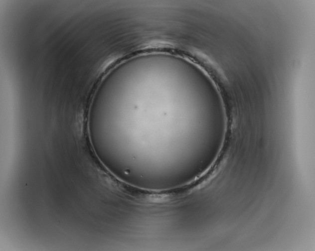 X0000114201313200910161217