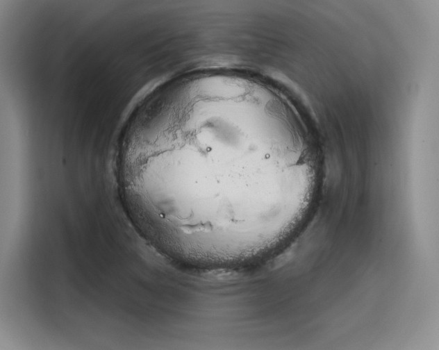 X0000114201314200910161217