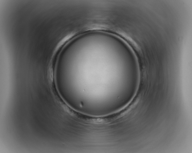 X0000114201317200910161217