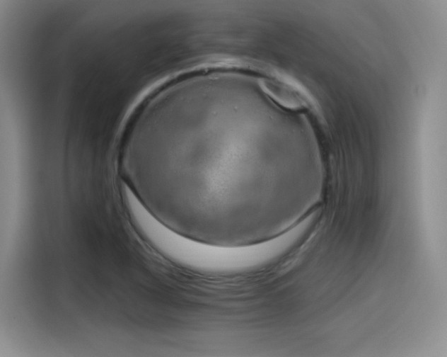 X0000114201318200910161217