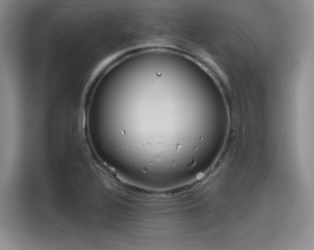 X0000114201320200910161217