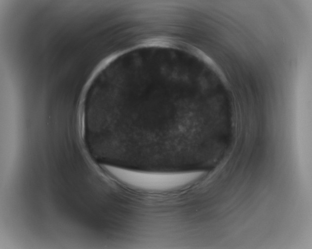 X0000114201323200910161217