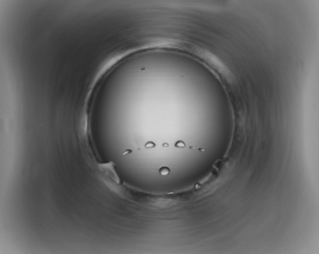 X0000114201324200910161217