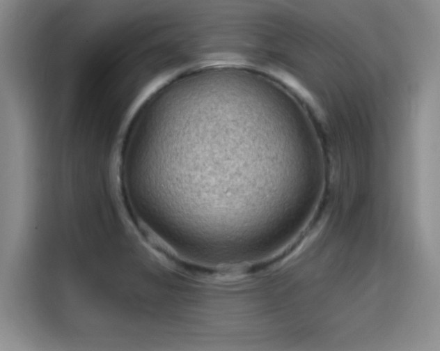 X0000114201325200910161217