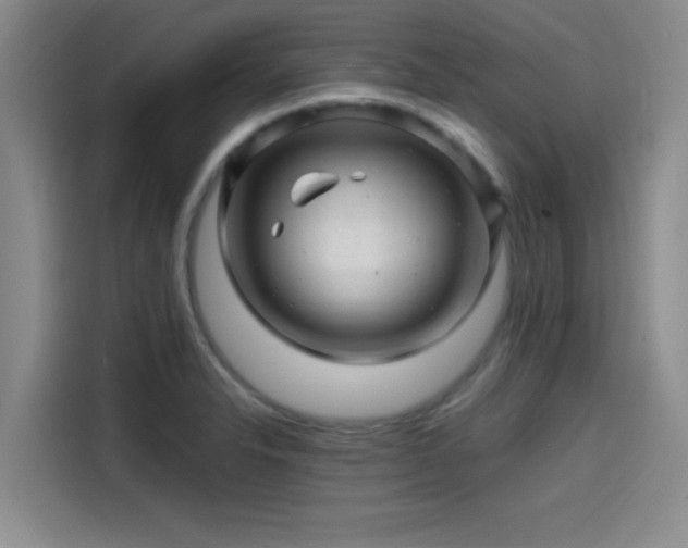 X0000114201326200910161217