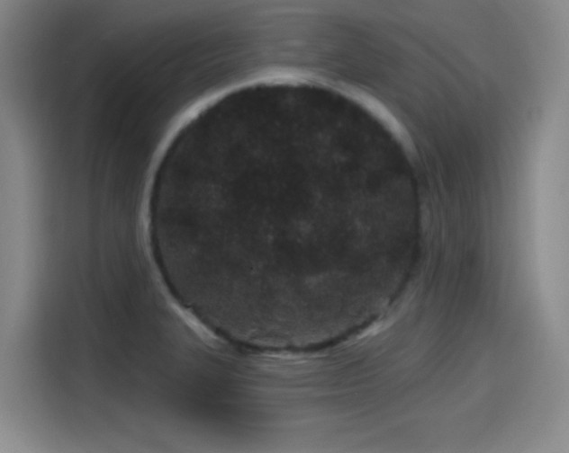 X0000114201327200910161217