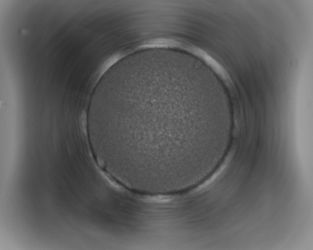 X0000114201329200910161217