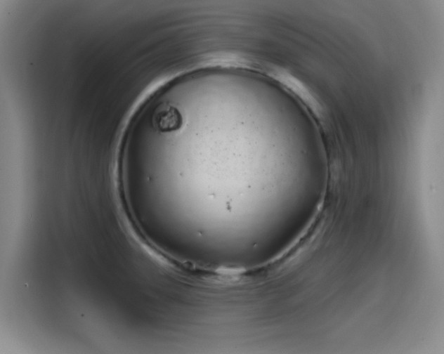 X0000114201331200910161217