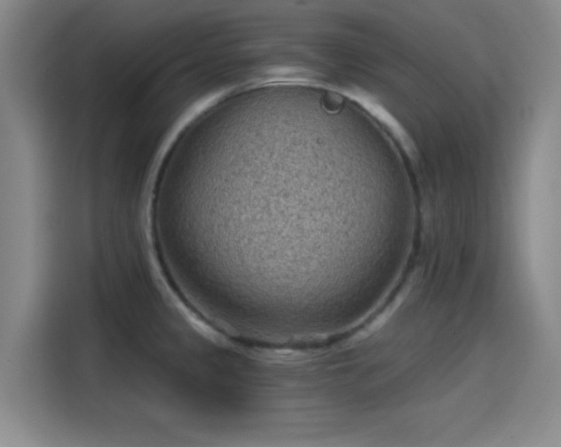 X0000114201333200910161217