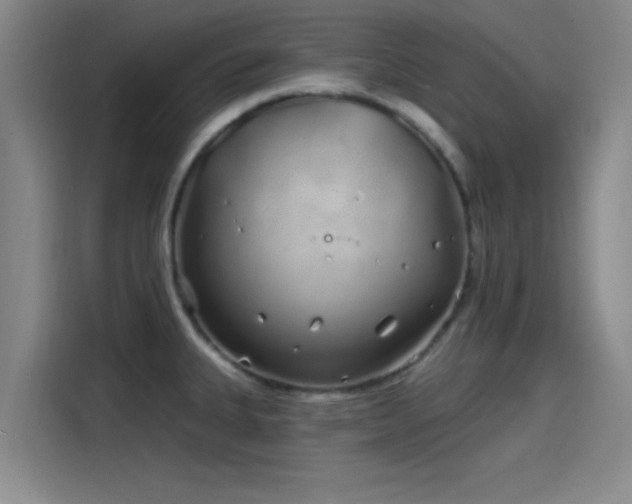 X0000114201335200910161217