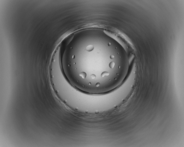 X0000114201338200910161217