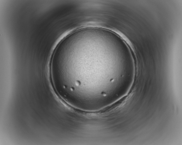 X0000114201341200910161217