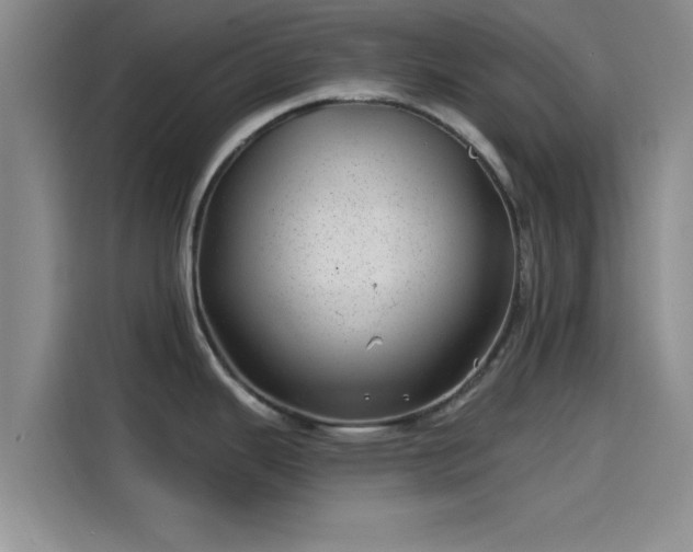 X0000114201343200910161217