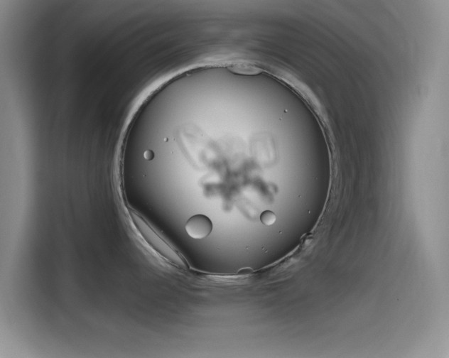 X0000114201344200910161217