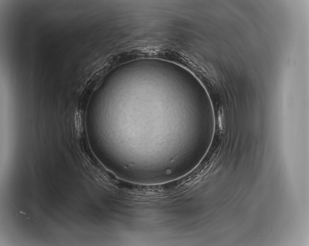 X0000114201347200910161216