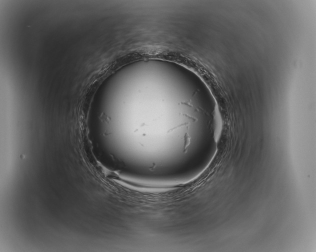 X0000114201349200910161216