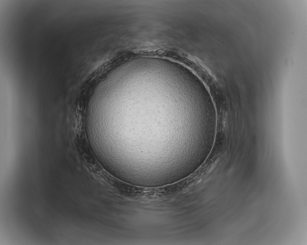 X0000114201350200910161216