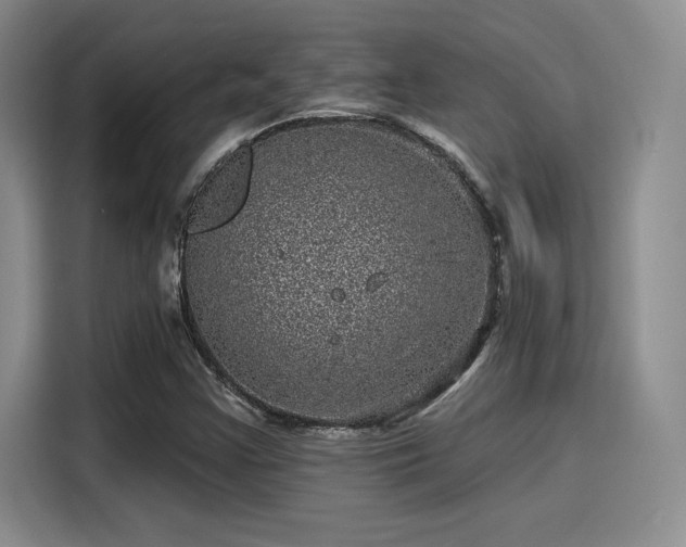 X0000114201355200910161216