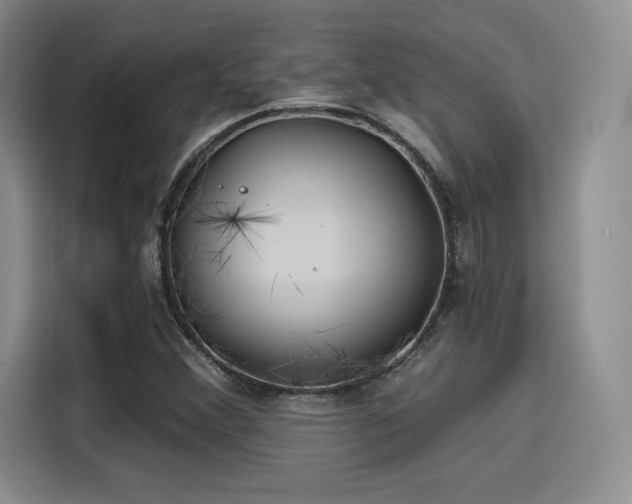 X0000114201356200910161216