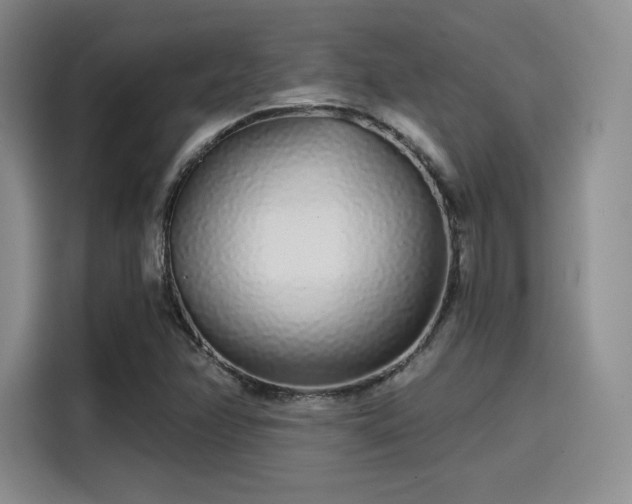 X0000114201358200910161216