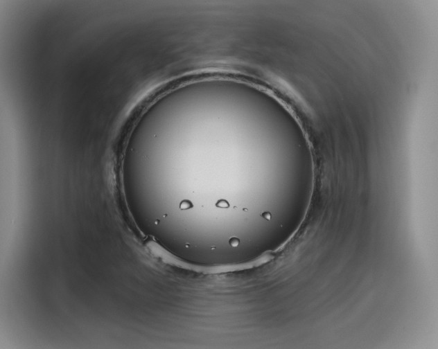 X0000114201360200910161216