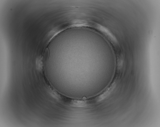 X0000114201361200910161216