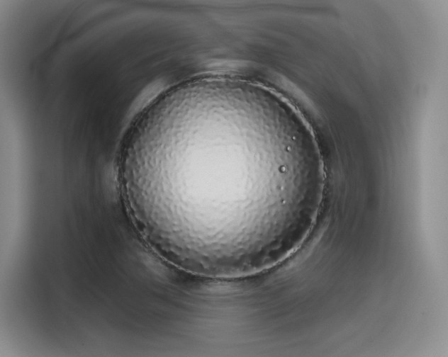 X0000114201362200910161216