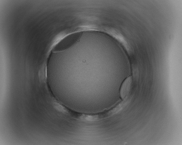 X0000114201365200910161216