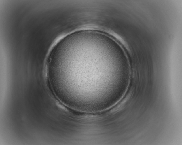 X0000114201366200910161216