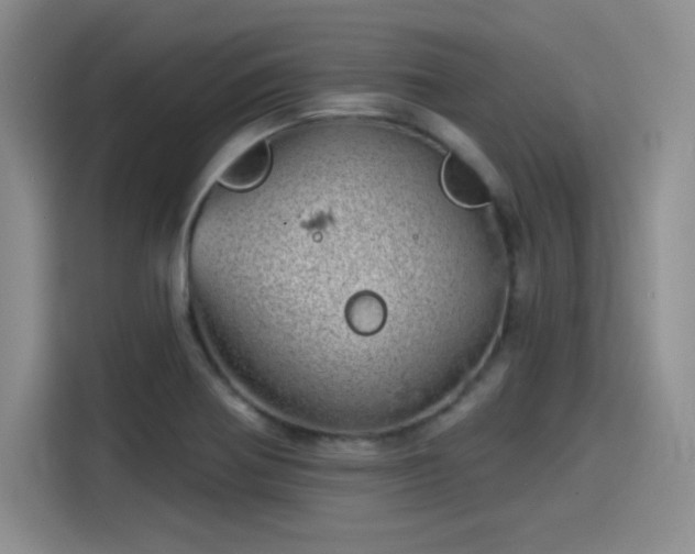 X0000114201370200910161216