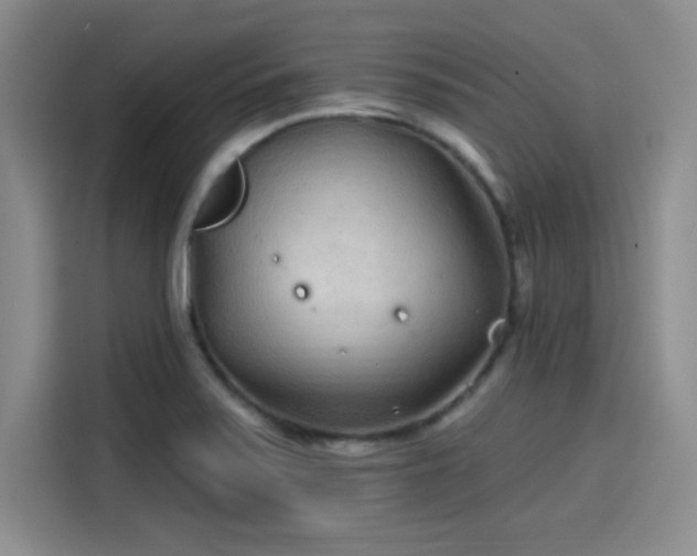 X0000114201371200910161216