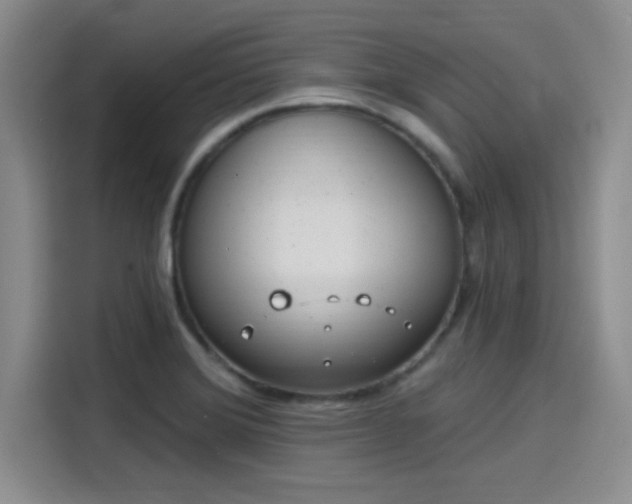 X0000114201372200910161216