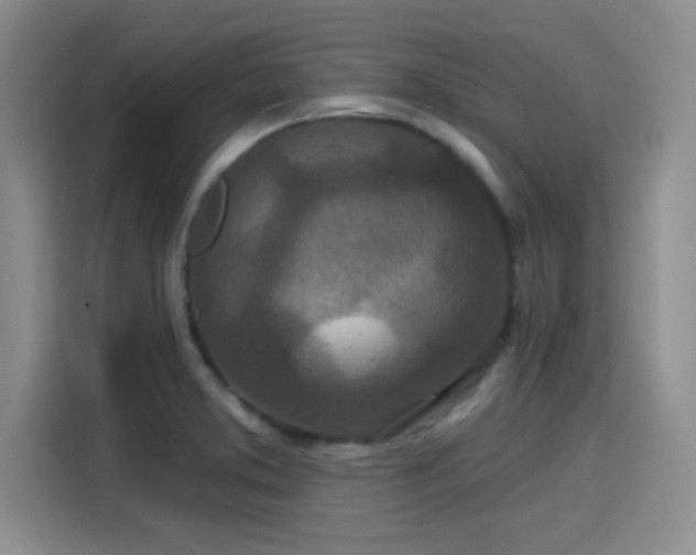 X0000114201373200910161216