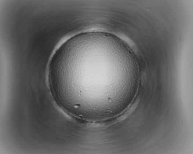 X0000114201374200910161216