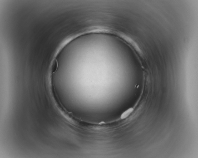 X0000114201375200910161216