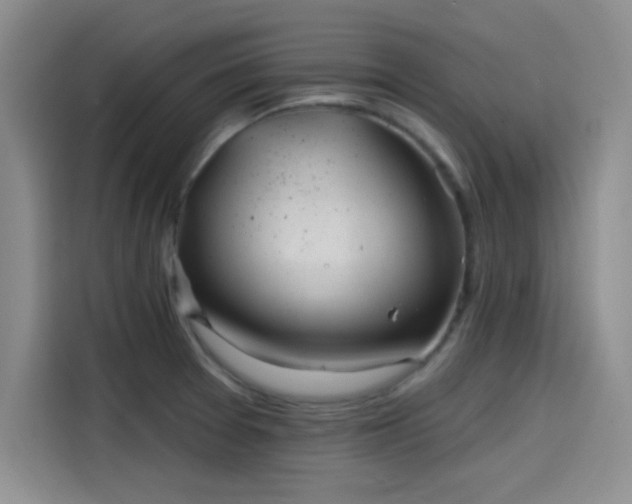 X0000114201377200910161216