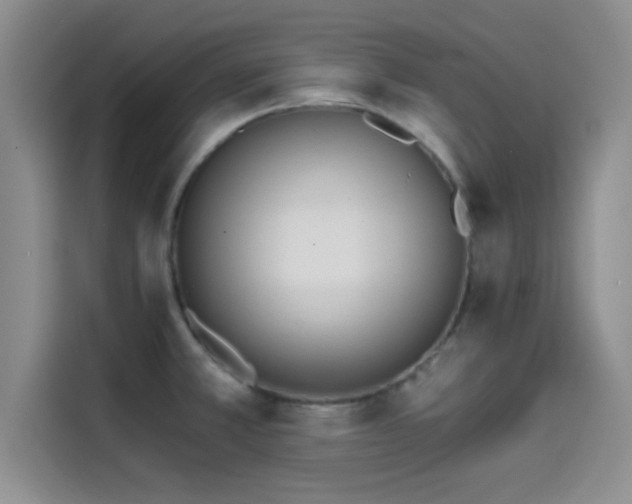 X0000114201381200910161216