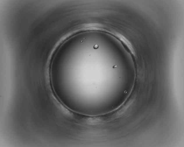 X0000114201384200910161216